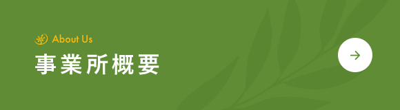 bnrhalf_company